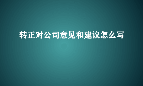 转正对公司意见和建议怎么写