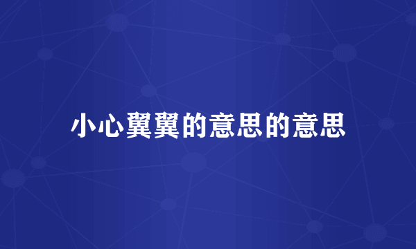 小心翼翼的意思的意思
