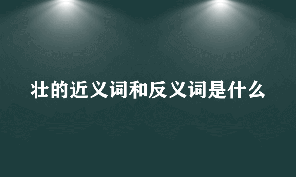 壮的近义词和反义词是什么