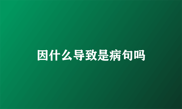 因什么导致是病句吗