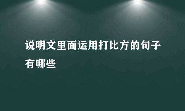 说明文里面运用打比方的句子有哪些