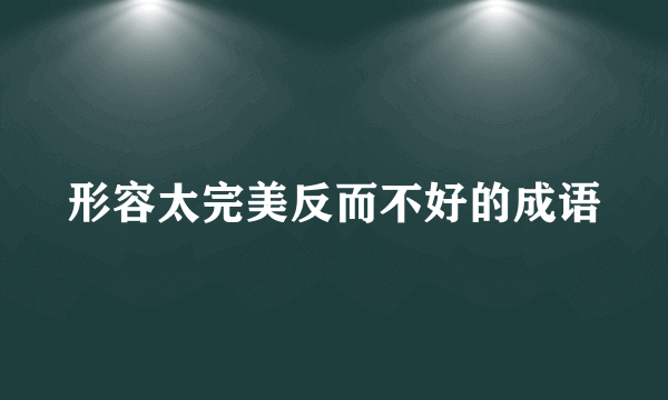 形容太完美反而不好的成语