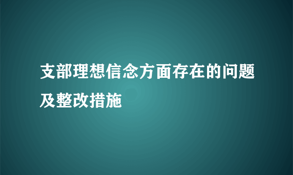 支部理想信念方面存在的问题及整改措施