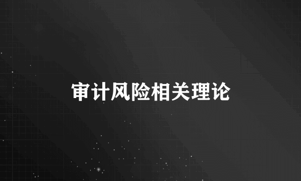 审计风险相关理论