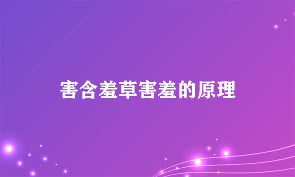 害含羞草害羞的原理