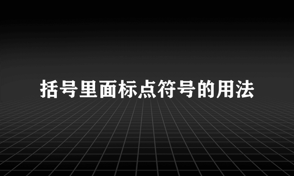 括号里面标点符号的用法