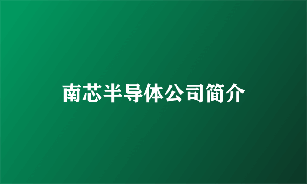 南芯半导体公司简介