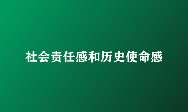社会责任感和历史使命感