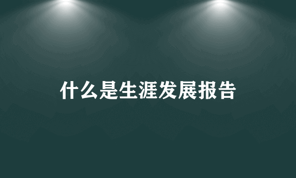 什么是生涯发展报告