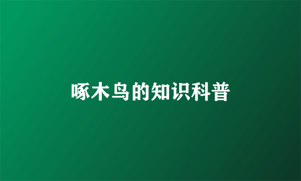 啄木鸟的知识科普