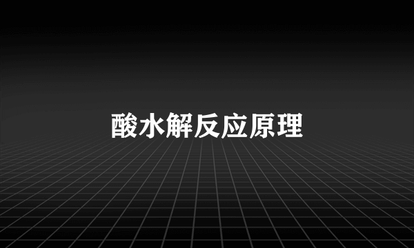 酸水解反应原理