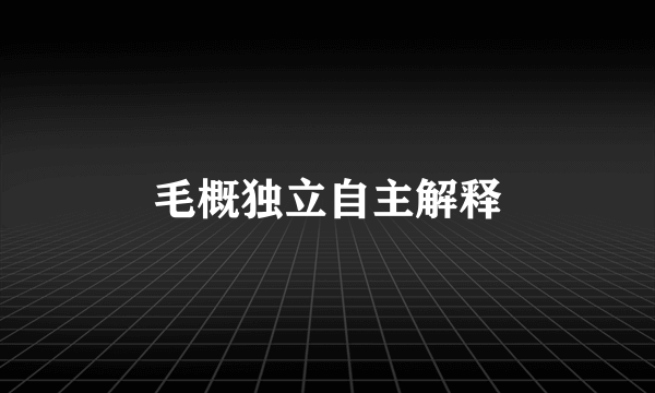 毛概独立自主解释