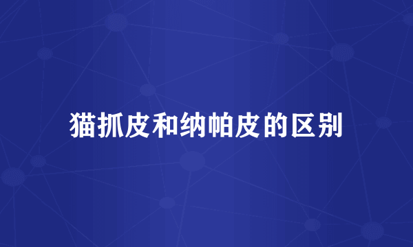 猫抓皮和纳帕皮的区别