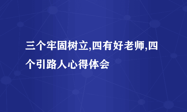 三个牢固树立,四有好老师,四个引路人心得体会