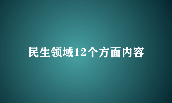民生领域12个方面内容