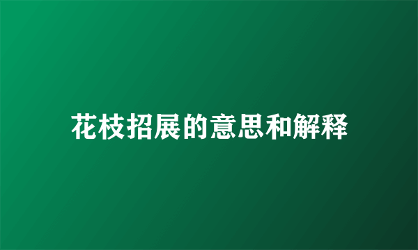 花枝招展的意思和解释