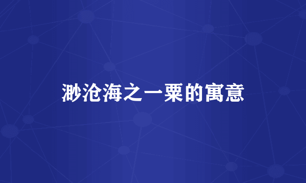 渺沧海之一粟的寓意