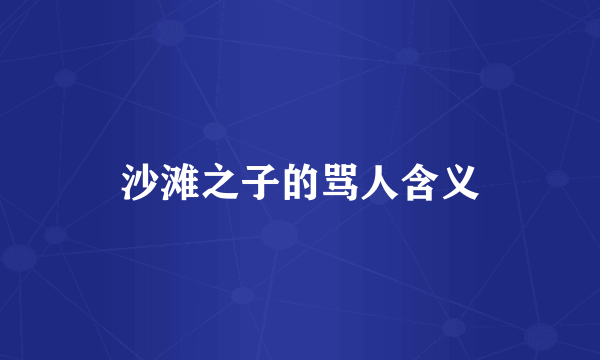 沙滩之子的骂人含义