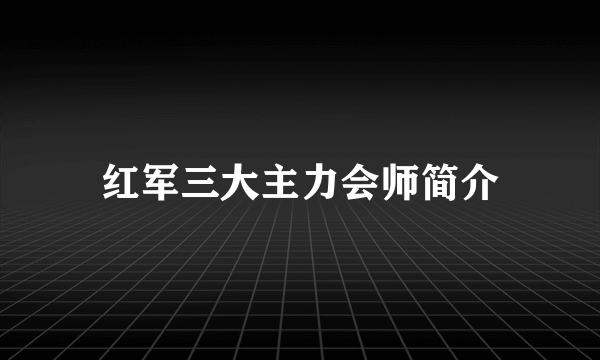 红军三大主力会师简介