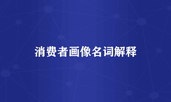 消费者画像名词解释