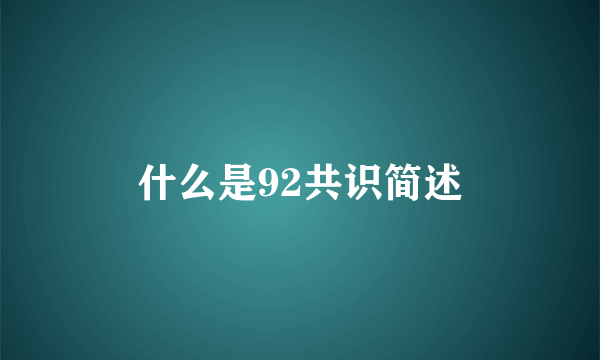 什么是92共识简述
