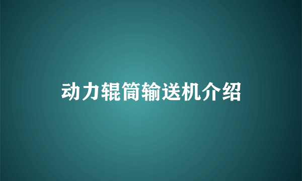 动力辊筒输送机介绍