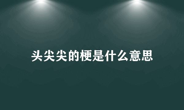 头尖尖的梗是什么意思