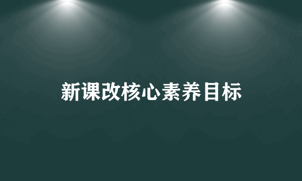 新课改核心素养目标