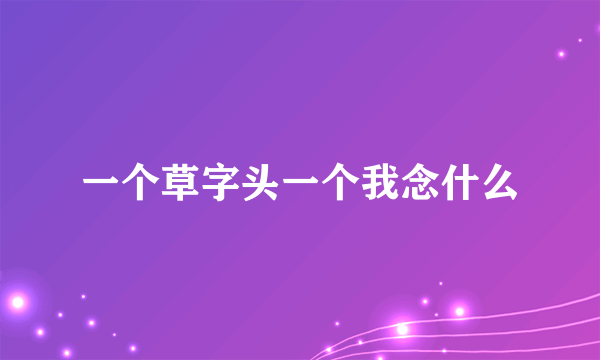 一个草字头一个我念什么