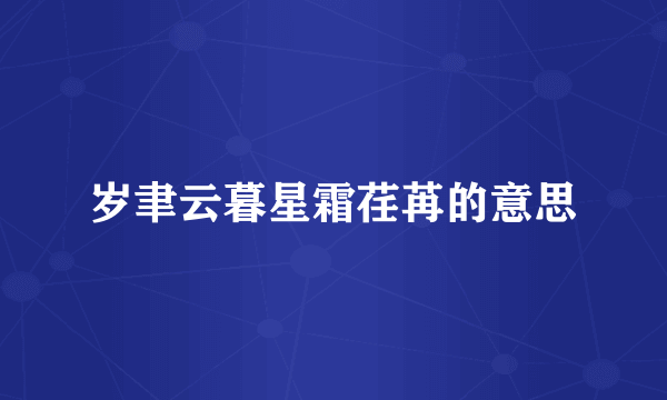 岁聿云暮星霜荏苒的意思