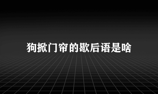 狗掀门帘的歇后语是啥