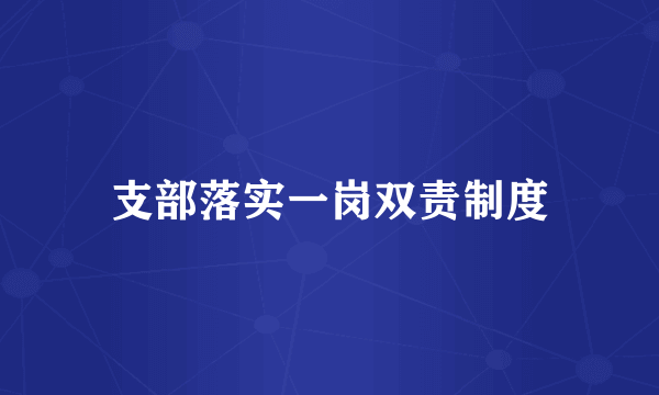 支部落实一岗双责制度