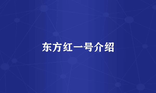 东方红一号介绍