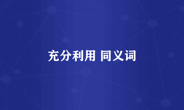 充分利用 同义词