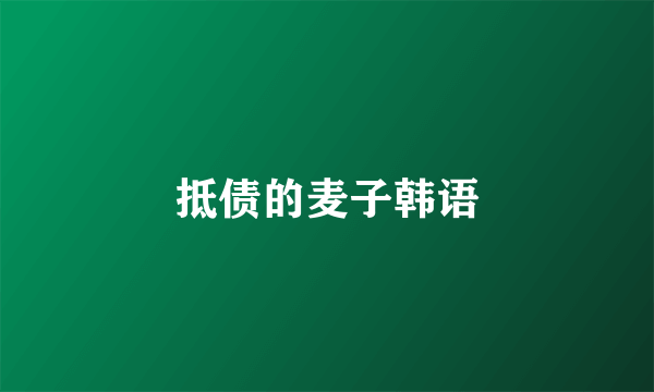 抵债的麦子韩语
