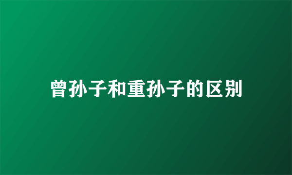 曾孙子和重孙子的区别