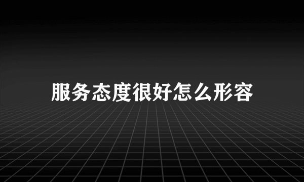 服务态度很好怎么形容