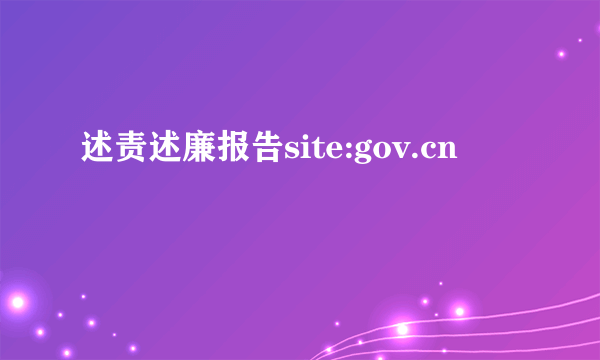 述责述廉报告site:gov.cn