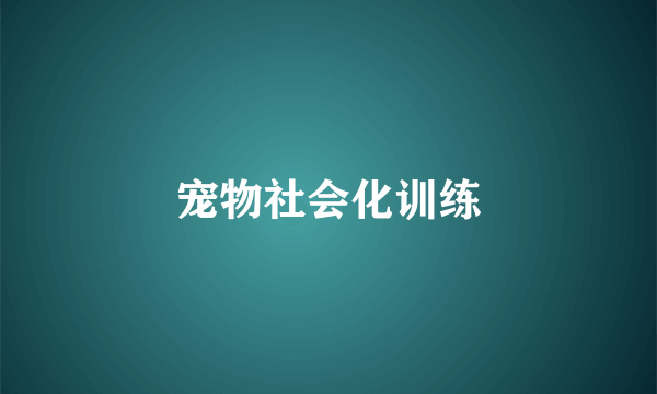 宠物社会化训练