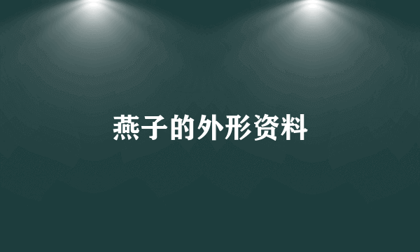 燕子的外形资料