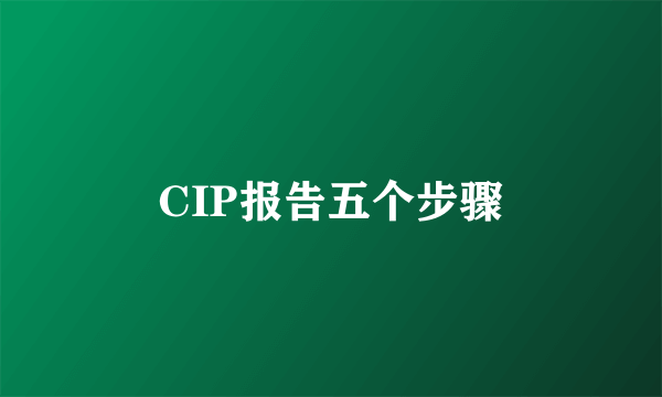 CIP报告五个步骤