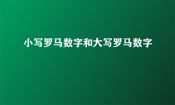 小写罗马数字和大写罗马数字