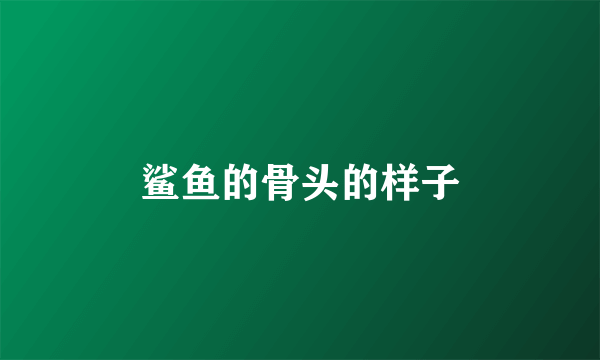 鲨鱼的骨头的样子