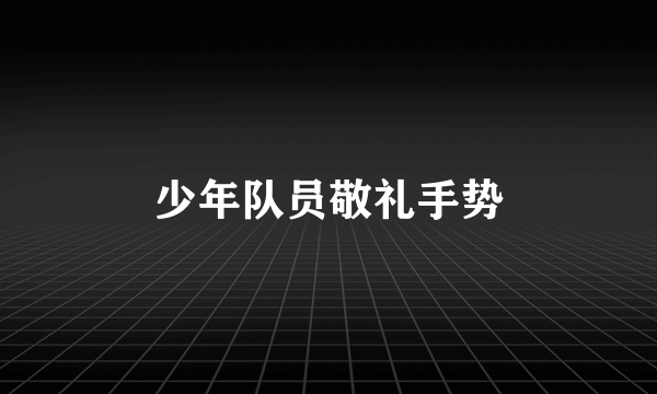 少年队员敬礼手势