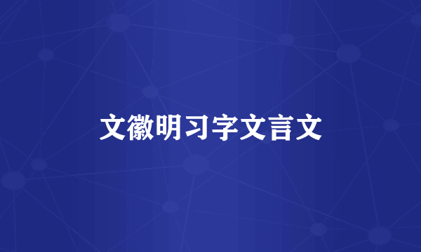 文徽明习字文言文