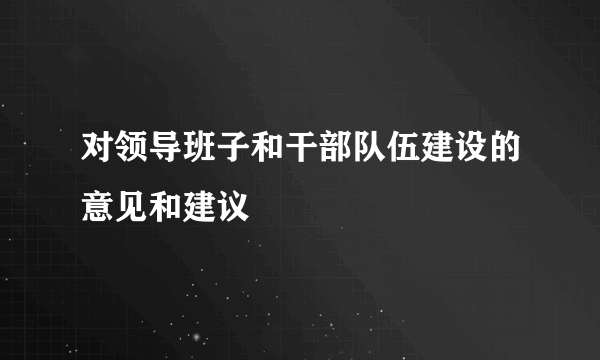 对领导班子和干部队伍建设的意见和建议