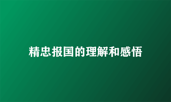 精忠报国的理解和感悟