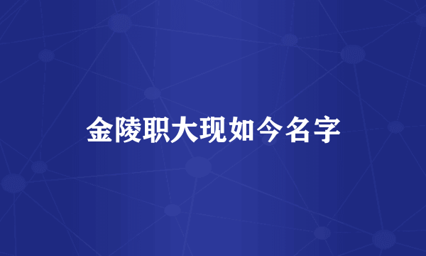 金陵职大现如今名字