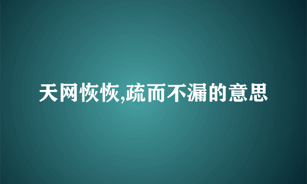 天网恢恢,疏而不漏的意思