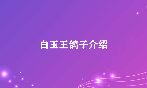 白玉王鸽子介绍